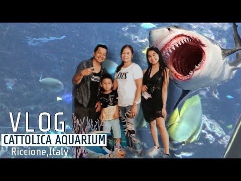 Vlog - Cattolica Aquarium - Riccione Italy Tour