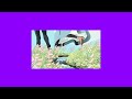 Playboi Carti Bando Sped Up Reverb Prod Ta2cute Yugen