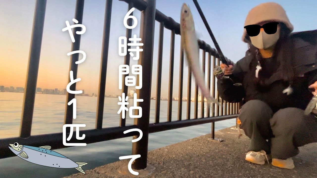 [若洲]ほんの少し釣れた日､､さて､どうお料理するか？