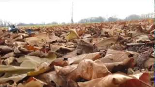 Daydreams - Experimental Video -  By Ami-Lee and Becca