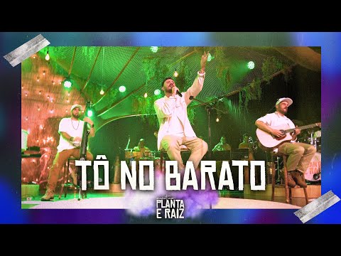 Tô No Barato - Acústico Planta & Raiz  2022 - Ao Vivo em SP