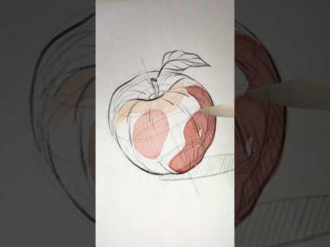 Sketching in Procreate ✏️ How to draw an Apple 🍎 #procreate #drawing #sketching #digitalart #sketch