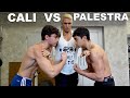 SFIDA TRA GIOVANI PALESTRATI! CALISTHENICS VS BODYBUILDING! CHI VINCERÀ?