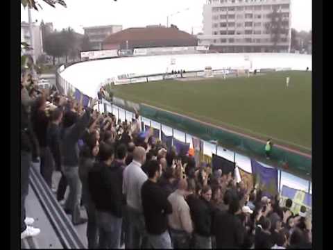 HELLAS VERONA cori: la zanzara