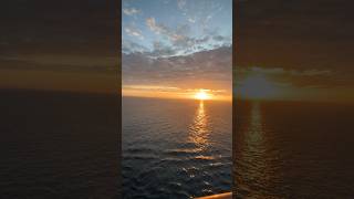 Sunsets at Sea are simply the best ✨ #hollandamerica #shorts #cruise