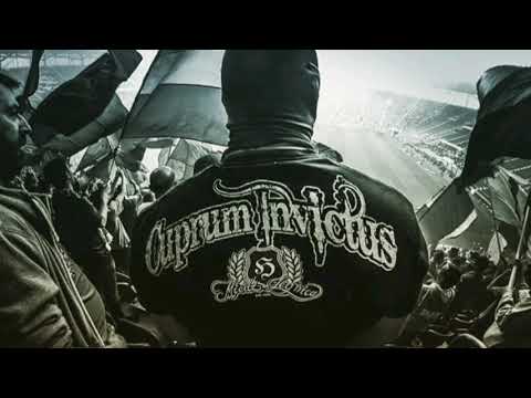 Miedź Legnica #37 Hooligans