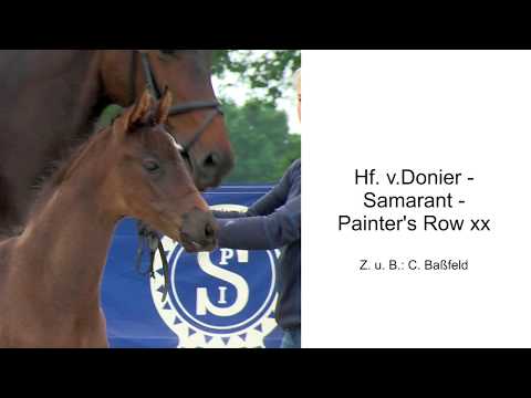 Hf v Donier x Samarant x Painters Row 2020