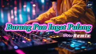 Download lagu Burung Pun Ingat Pulang - Remix Nostalgia_Tembang Kenangan_Slow Remix mp3 Download lagu Burung Pun Ingat Pulang - Remix Nostalgia_Tembang Kenangan_Slow Remix mp3