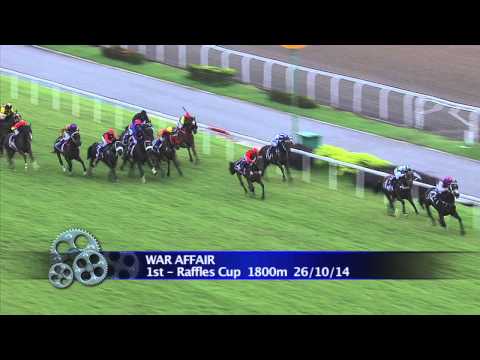 Longines Singapore Gold Cup 2014 Contenders (War Affair)