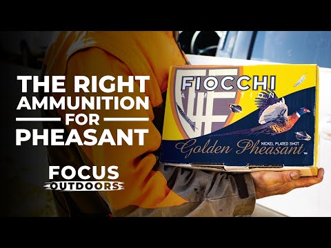 Fiocchi Buckshot 12 Gauge #ammo #12gauge #fiocchi #shotgun #mossberg