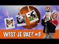 Het Dierenweetjesjournaal met Britt #3 | DierenpraatTV