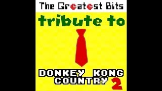 Krook's March from Donkey Kong Country 2 by The Greatest Bits