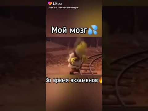 Мой мозг во время экзамена