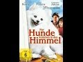Nur Hunde Kommen In Den Himmel
