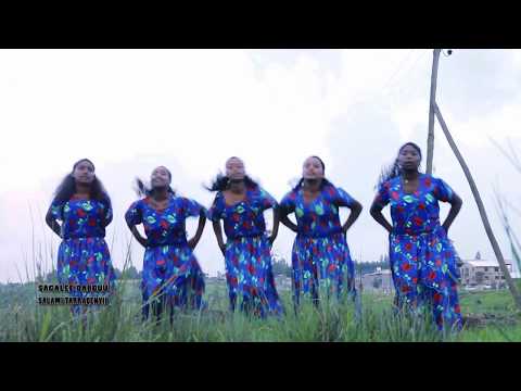 Ethiopian Music: Darajjee Shuumii (Qeerrotu Beeka Karaa) - New Ethiopian Music 2018(Official Video)