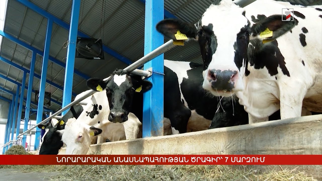 Նորարարական անասնապահության ծրագիր՝ 7 մարզում