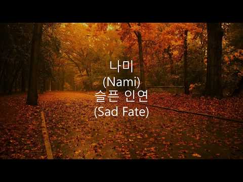 나미 (Nami) - 슬픈 인연 (Sad Fate) Lyrics 가사