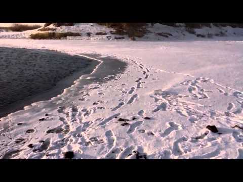 Река голодная Илекский район