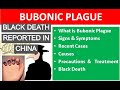 Black Death in China || Bubonic Plague, symptoms, causes, prevention and treatment of plague