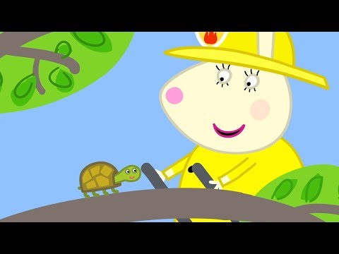 Peppa Wutz | Dr. Hamsters Schildkröte | Peppa Pig Deutsch Neue Folgen | Cartoons für Kinder
