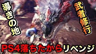 【MHWI:アイスボーン】導きの地でPS4が落ちた大剣使いのリベンジ！歴戦のハンターよ、どうか助けておくれ【ますかめBROのゲーム実況】