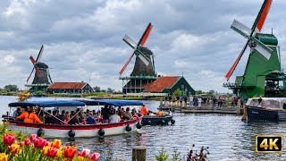 Windmills of Amsterdam | Zaanse Schans Walking Tour 2026