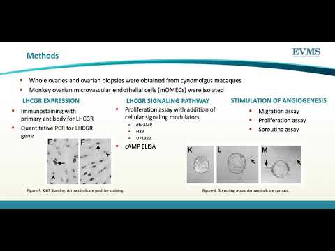 Thumbnail image of video presentation for LHCGR Mediates Angiogenic Signaling in Ovarian Microvascular Endothelial Cells