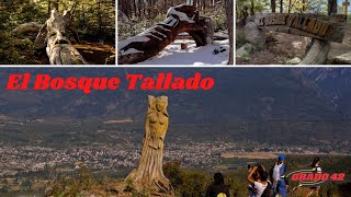 El Bosque Tallado