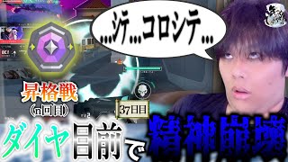 【37日目】3度目の昇格戦でついに... 【年内レディアント】【VAROLANT】