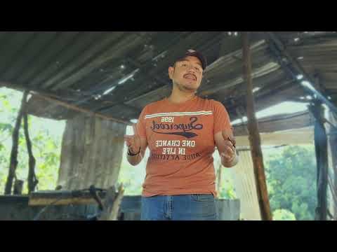 This is how molasses is made, the best ally for cattle ranchers during the drought season.