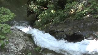 A view from the top of the Lower Cedar Run Falls at high water levels.