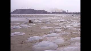 Територія пустих вікон  Тізер