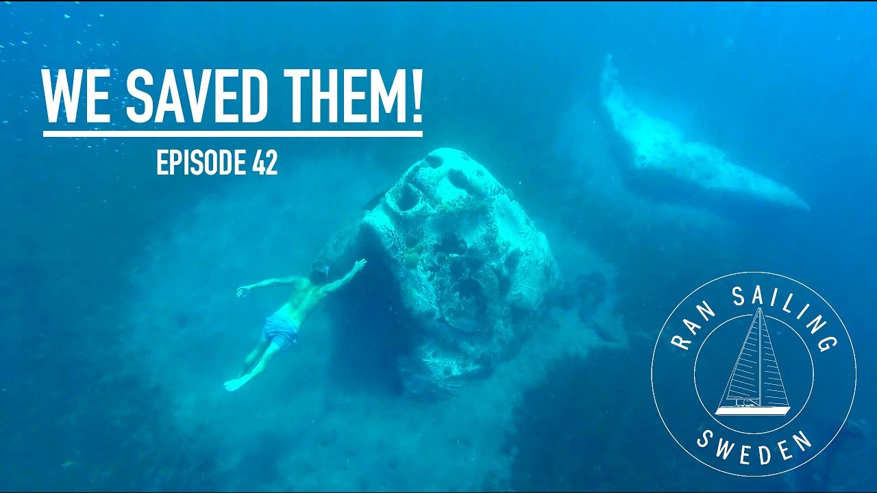We saved them! - Ep. 42 RAN Sailing