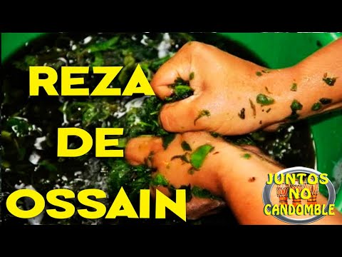 Oriki de Ossain - Saudação Osanyin - Reza Yorubá e Tradução Ossanhê - Oriki African