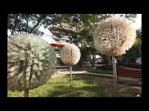 Plaza Boquerón
