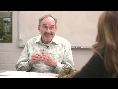 2024 Nitrogen Long Alfalfa Short Rotation