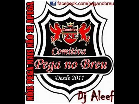 CD Comitiva Pega no Breu 2013