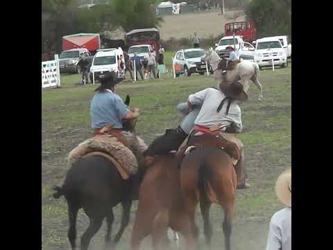 Broche de Oro en basto Lisandro Monzon en Campo El Solar en Crespo Entre Rios