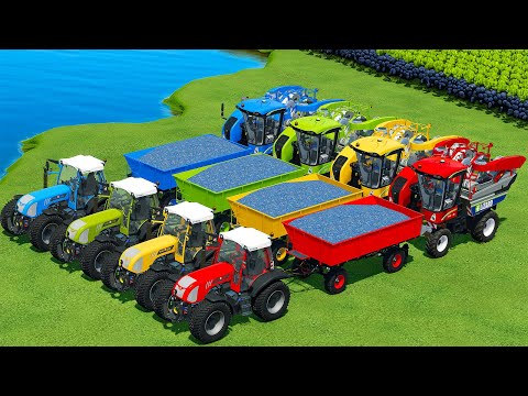 HARVEST AND TRANSPORT GRAPES WITH VALTRA TRACTORS AND MERCEDES TRUCKS - Farming Simulator 22