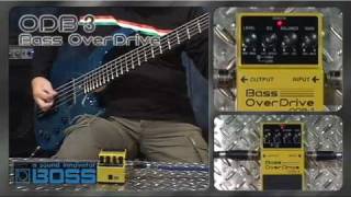 Boss ODB-3 Bass Overdrive Video