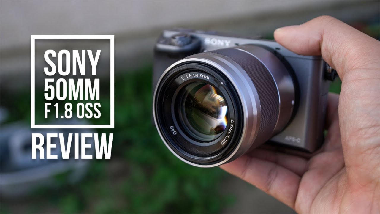 Video thumbnail for Video Review 3