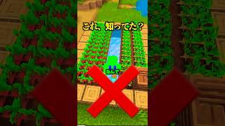 最初に知りたかった神仕様...これまじか【マイクラ】