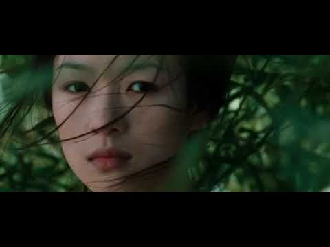 Peregrihn  - Seraph  (Crouching Tiger, Hidden Dragon Video Edit)