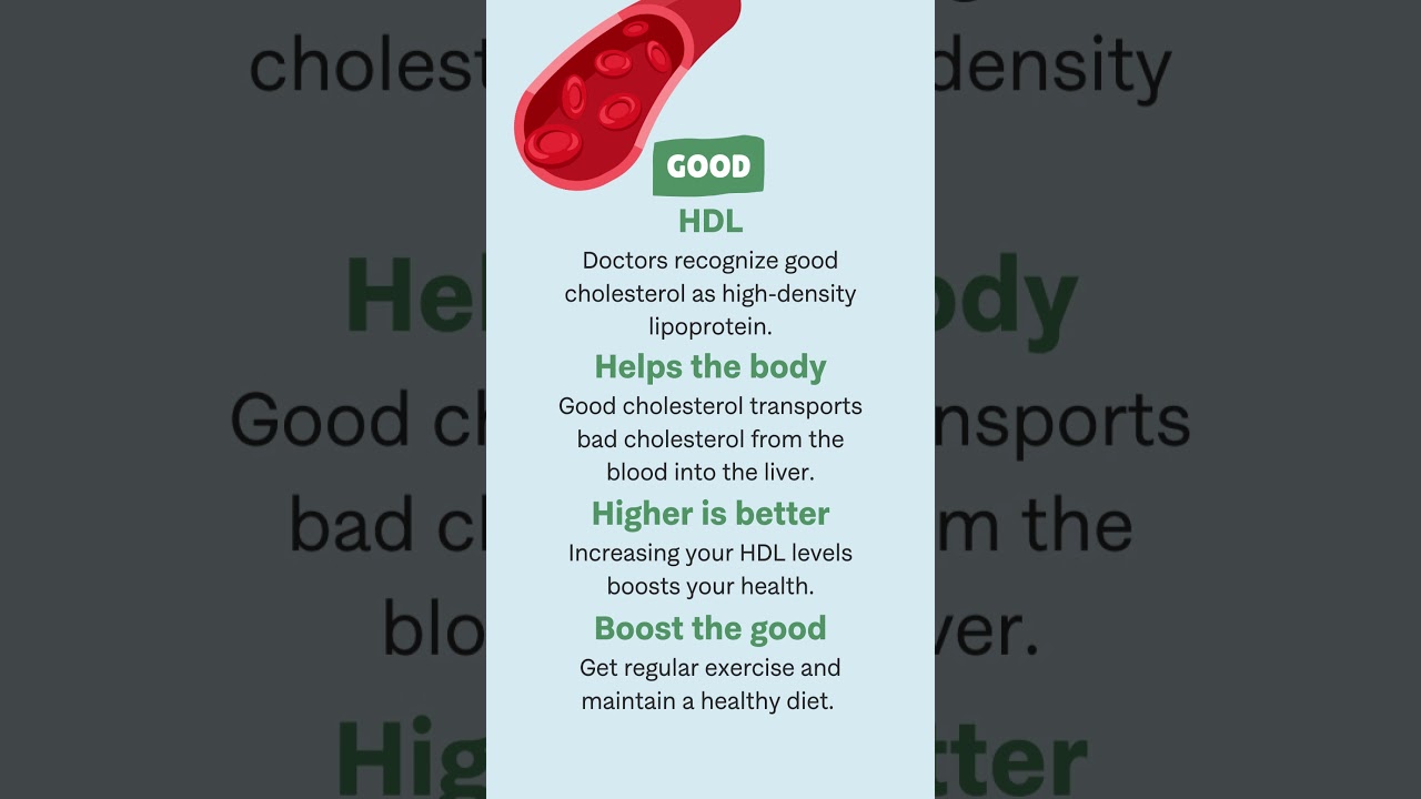 Good vs Bad Cholesterol: Know the Difference