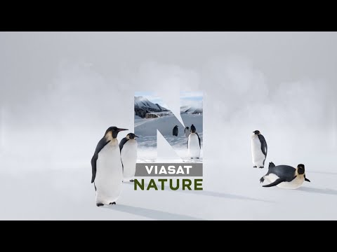 Viasat Nature arculat 2021. február - március