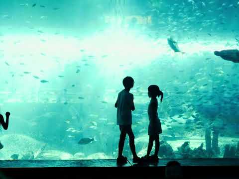 Phu Quoc Island ll BMPCC6k & Zeiss Jena 35mm