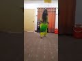 Punjabi HDTV Song Of India Bollywood S 10