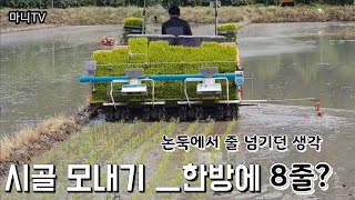 귀촌마니/ 시골에 모내기 모습.
