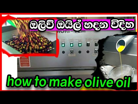 how to make  olive oil oliomio 80 plus|how to make olive oil|how to make olive oil at home olive oil