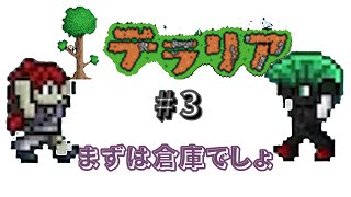 今日はテントウムシの日かもしれない【テラリア】#3